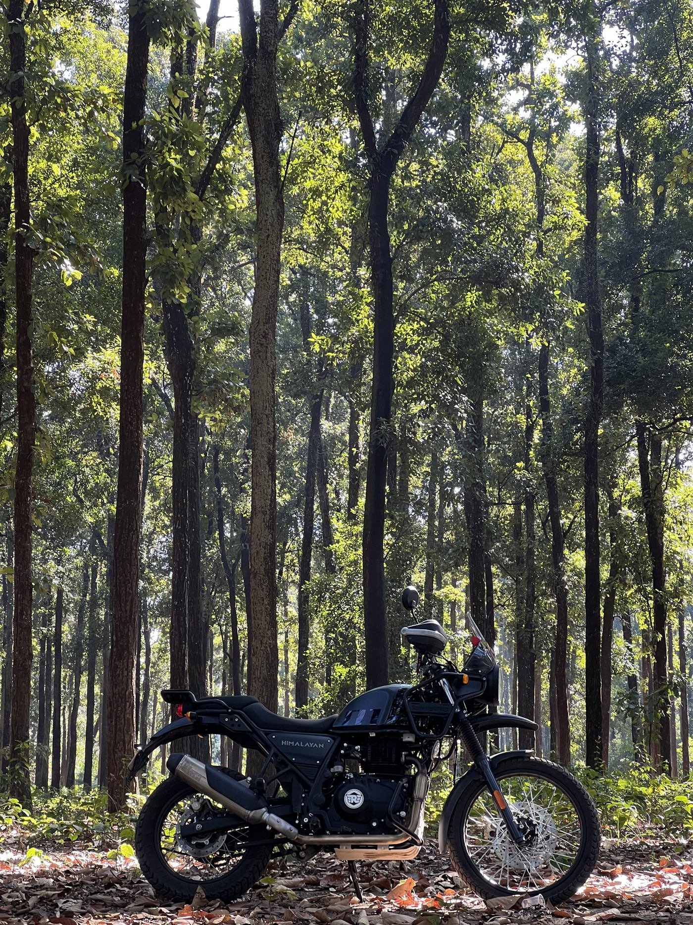 Royal Enfield Himalayan 411